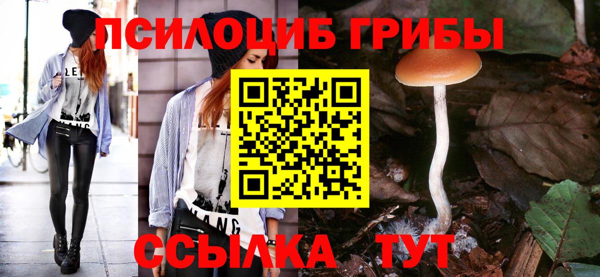 Галлюциногенные грибы Magic Shrooms Новотроицк