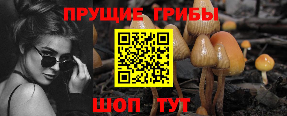 Новотроицк  Псилоцибиновые грибы Psilocybe  Вход с VPN 