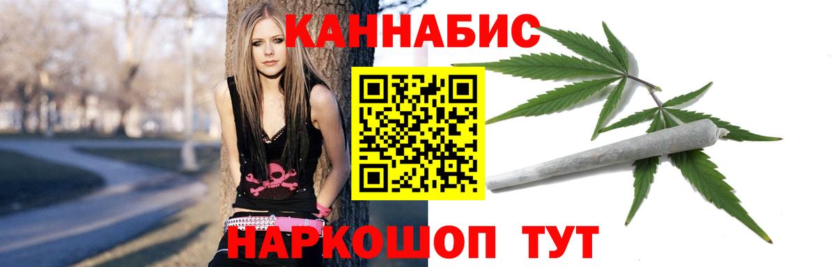 Бошки марихуана THC 21% Новотроицк